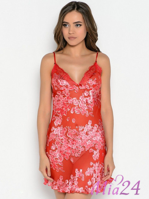 2038444-1.jpg 2038444-1.jpg