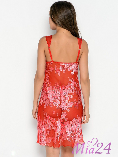 2038446-2.jpg 2038446-2.jpg