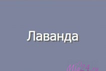 Пижама из бамбука+вискоза с шортами Reina 215 лавандовый